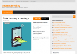 Internet mobilny